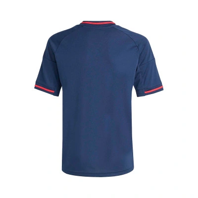 Kids Olympique Lyon 2025-2026 Away Jersey