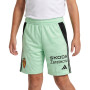 Real Zaragoza Tiro 24 Kinder-Glory Mint