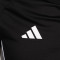 Camiseta adidas Real Zaragoza Entreno Técnico 25-26 Niño