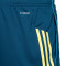 Short adidas Real Zaragoza Entreno Jugador 25-26