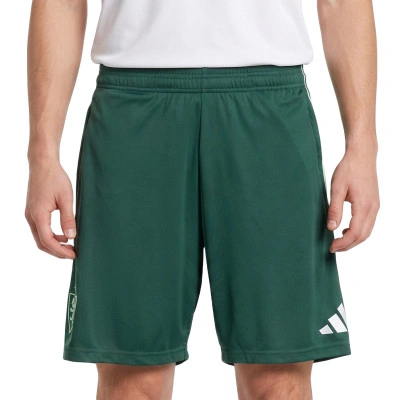 Real Zaragoza Training Goalkeeper 25-26 Shorts