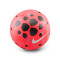 Balón Nike Pitch 2025-2026