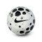 Nike Academy 2025-2026 Ball
