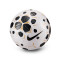 Nike Control 2025-2026 Ball