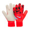 Guantes Nike Match