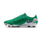 Bota Nike Tiempo Legend 10 Academy FG