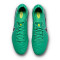 Nike Tiempo Legend 10 Elite FG Football Boots