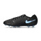 Zapatos de fútbol Nike Legend 10 Pro AG-Pro