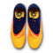 Nike Phantom 6 Low Pro AG-Pro EH Football Boots