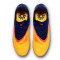 Nike Phantom 6 Low Pro FG EH Football Boots