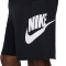 Nike Club Alumni Shorts