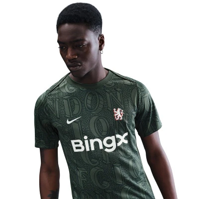 Nike Camiseta Chelsea Fc Pre-Match — photo 3
