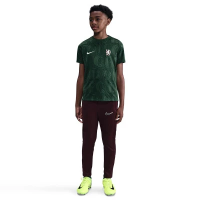 Nike Camiseta Chelsea Fc Pre-Match Niño — foto 4