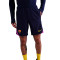 Pantalón corto Nike Fc Barcelona Training 2025-2026