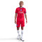 Nike Psg 2025-2026 Third Shorts
