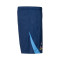 Short Nike Tottenham Hotspur FC Training 2025-2026