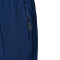 Short Nike Tottenham Hotspur FC Training 2025-2026