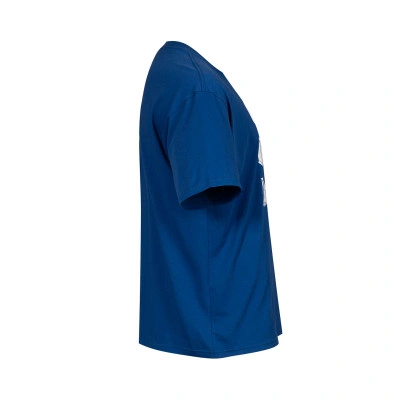 Nike Camiseta Chelsea Fc Fanswear — foto 4