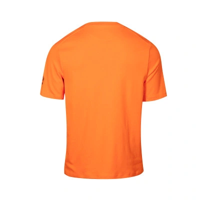 Nike Camiseta Inter Milan Fanswear — photo 3