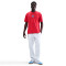 T-Shirt Nike PSG Fanswear 2025-2026