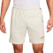 Short Nike Academy 25