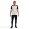 Camiseta Nike Academy 25