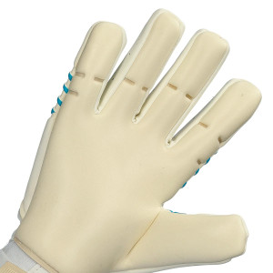 PALME-1
