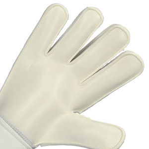 PALME-1