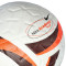 Balón Nike Academy Plus
