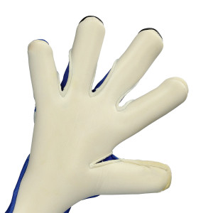 PALME-1