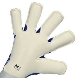 PALM-1