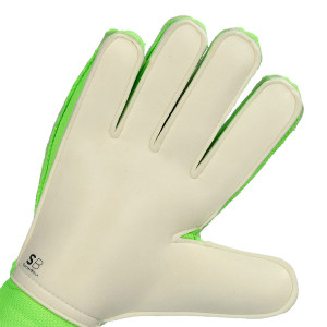 PALME-1