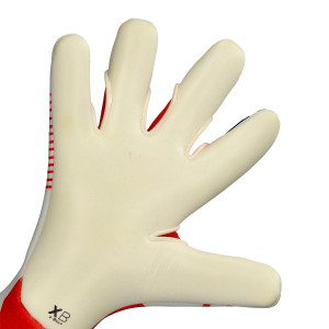 PALME-1