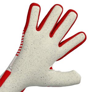 PALME-1