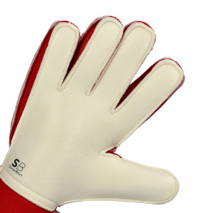 PALME-1