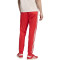adidas Slb Benfica 2025-2026 Fanswear Lange Hosen