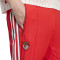 adidas Slb Benfica 2025-2026 Fanswear Lange Hosen