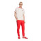 Camiseta adidas Slb Benfica Fanswear 2025-2026