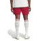 adidas Arsenal FC 2025-2026 Third Kit Shorts