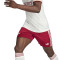 adidas Arsenal FC 2025-2026 Third Kit Shorts