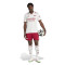 adidas Arsenal FC 2025-2026 Third Kit Shorts