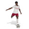 adidas Arsenal FC 2025-2026 Third Kit Shorts