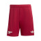 adidas Arsenal FC 2025-2026 Third Kit Shorts