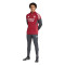 Pantalón largo adidas Arsenal Fc Training 2025-2026