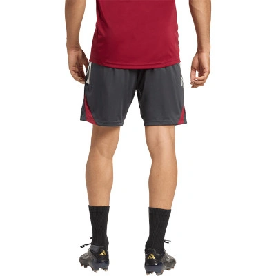 Arsenal Fc 2025-2026 Training Shorts
