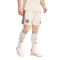 adidas Ajax 2025-2026 Third Shorts