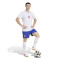 adidas Olympique Lyon 2025-2026 Fanswear T-Shirt