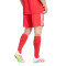 Short adidas Fc Bayern Tercera Equipación 2025-2026