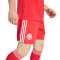 Short adidas Fc Bayern Tercera Equipación 2025-2026
