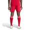Short adidas Liverpool Fc Primera Equipación 2025-2026